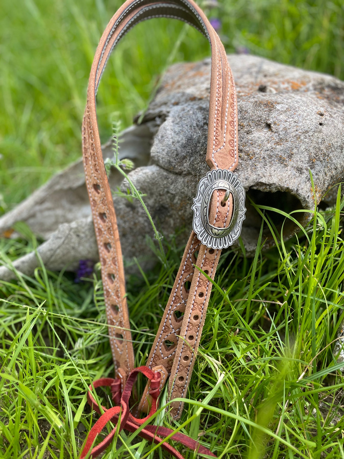 Cowhorse Queen pre Order